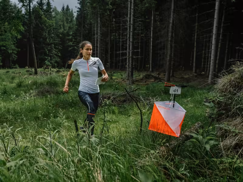 Différentes pratiques de course d'orientation en forêt