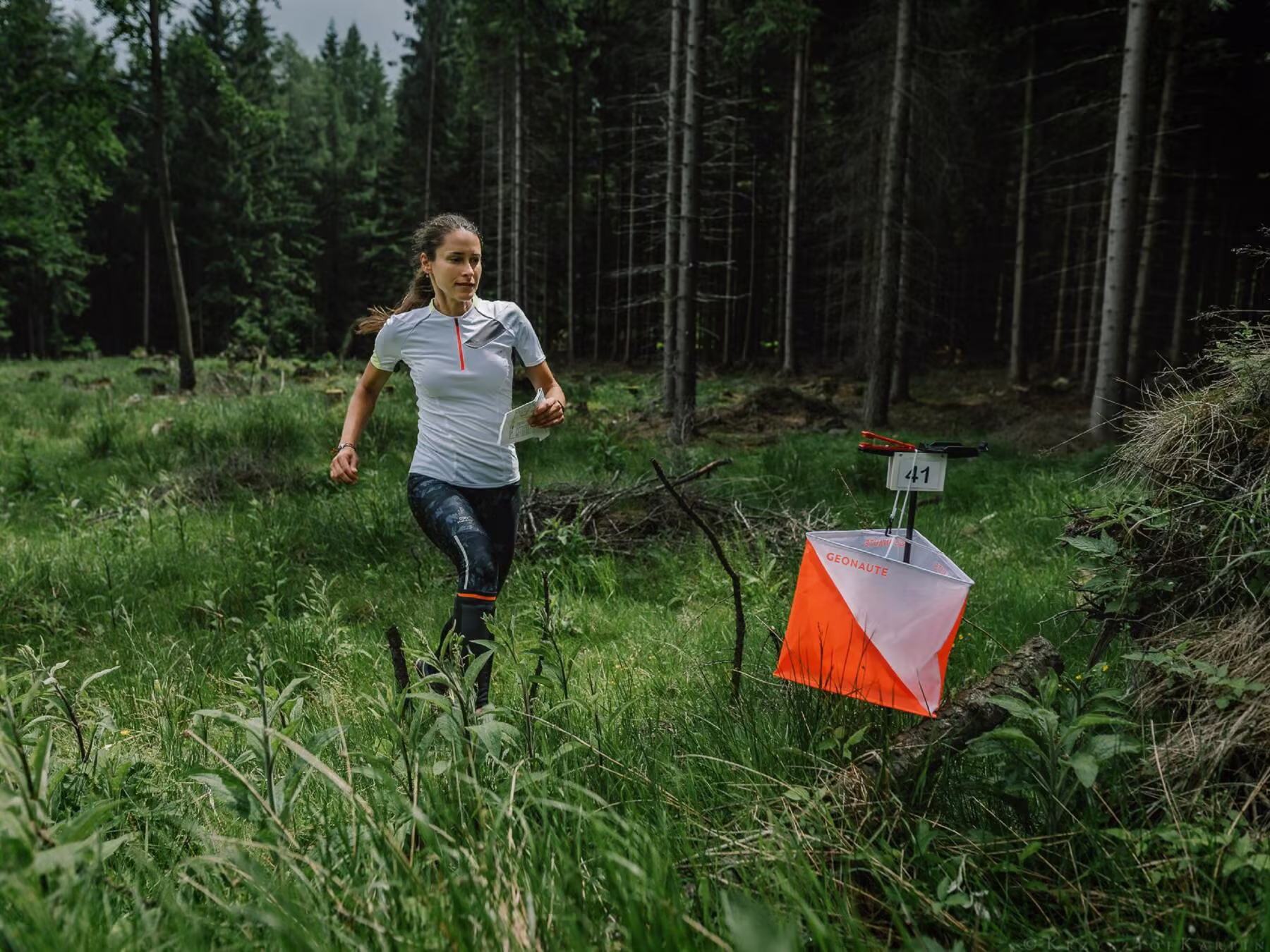 Course d'orientation